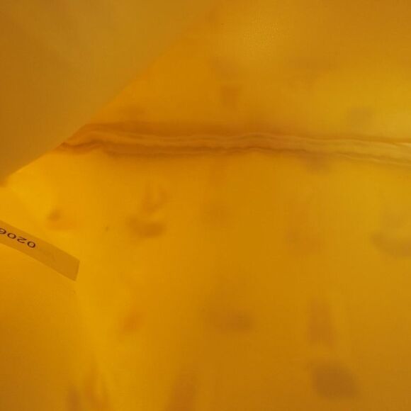 5/$20 Ipsy Glam Bag June 2020 Sunbathing Women Summer Yellow Vacation Makeup Bag - Picture 5 of 5